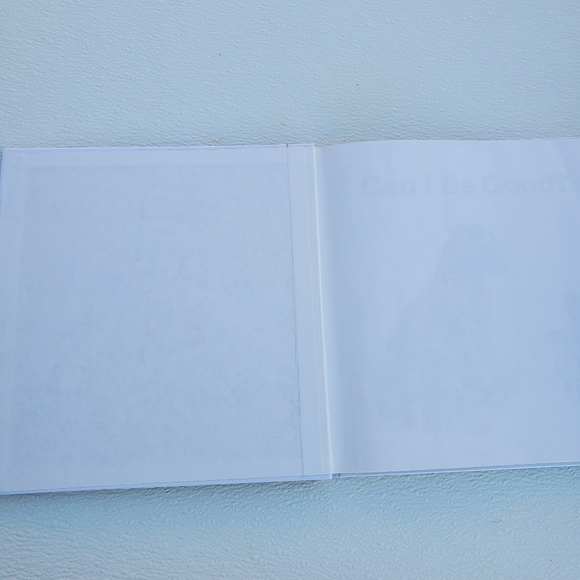 Vintage Voyager 1993 Hardcover Book "Can I Be Good"  by Ted Rand - Picture 3 of 4